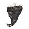 Malaysian-Silky-Straight-frontal.jpg
