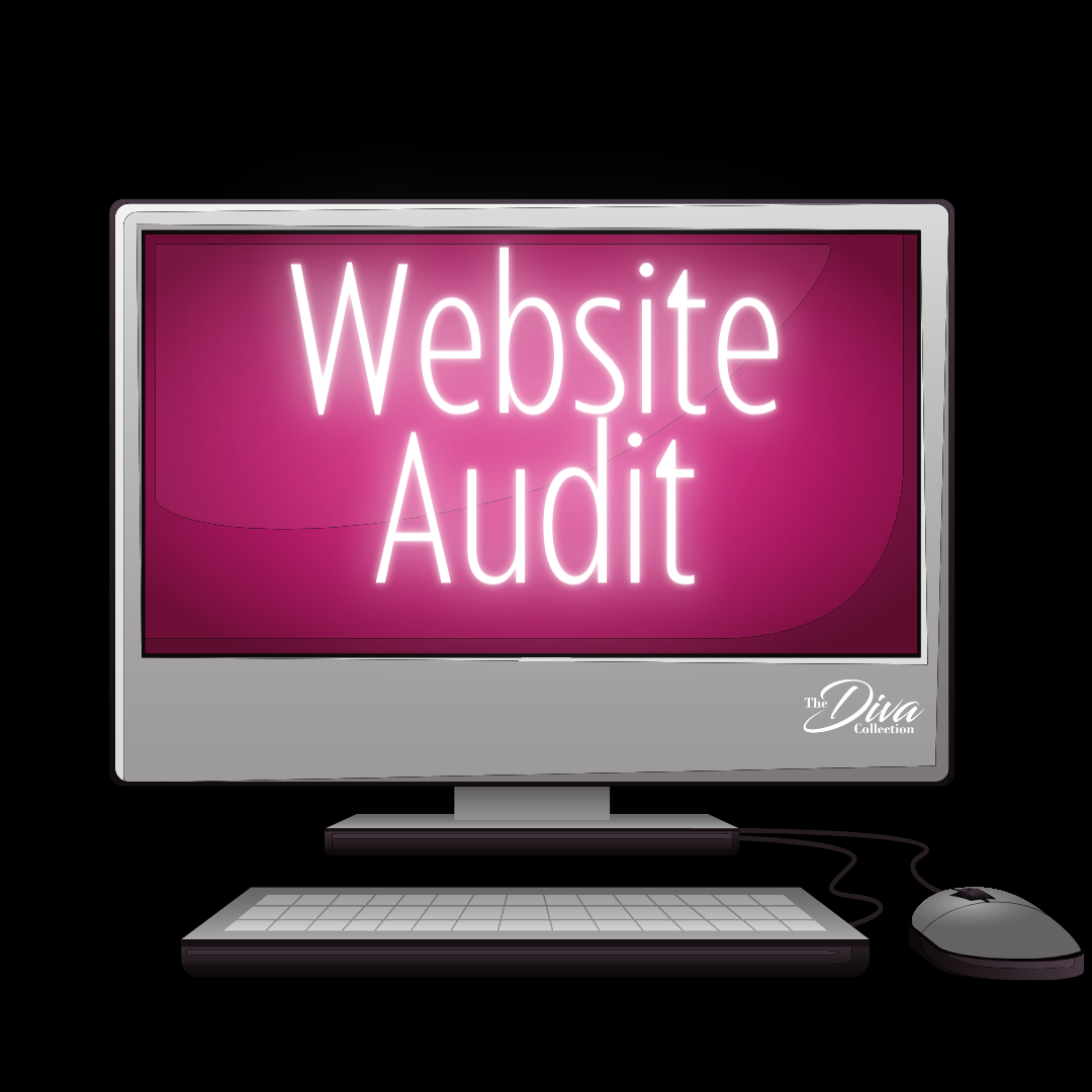 Website Audit